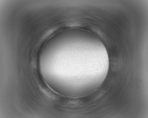 X0000082140631200701262243