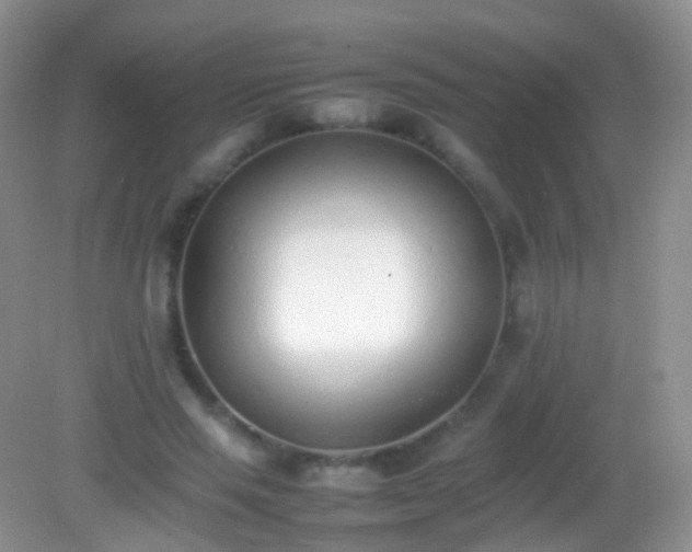 X0000082140637200701262243