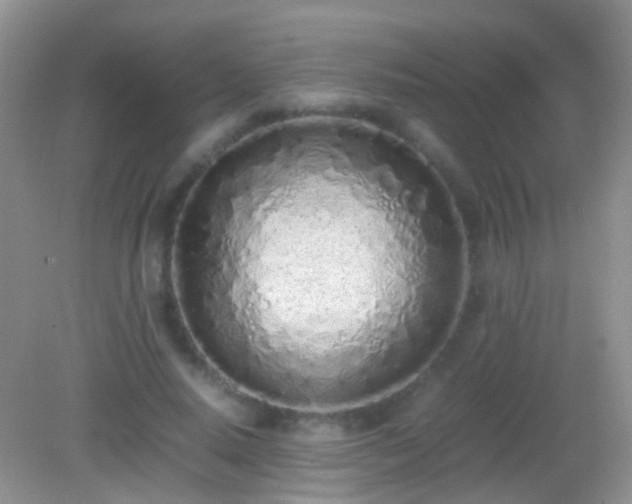 X0000082140640200701262243