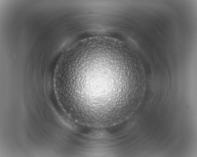 X0000082140642200701262243