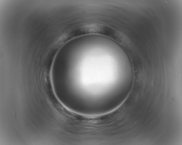 X0000082140643200701262243