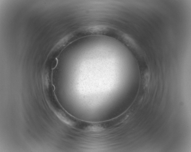 X0000082140644200701262243