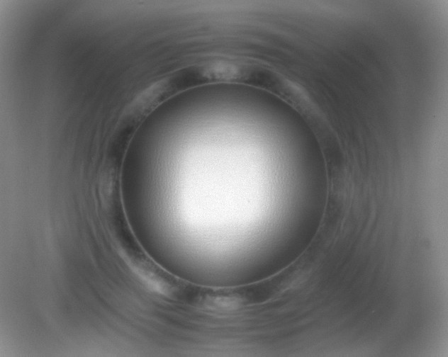 X0000082140645200701262243