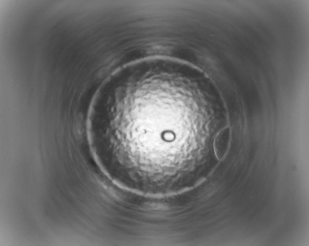 X0000082140649200701262244