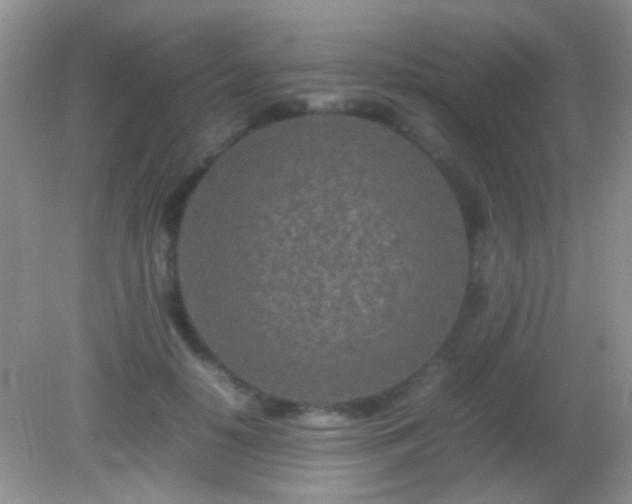 X0000082140650200701262244