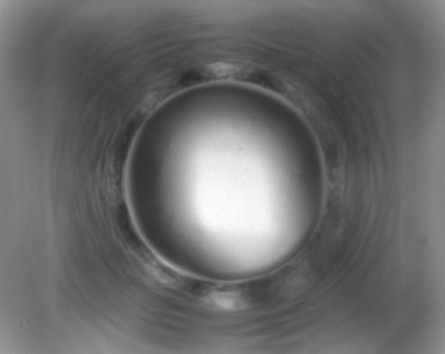 X0000082140653200701262244