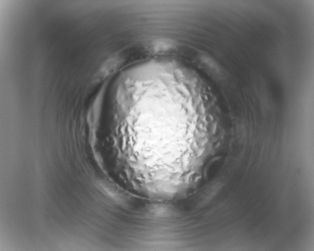 X0000082140654200701262244