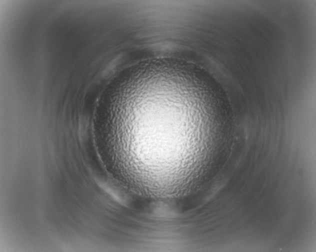 X0000082140660200701262244