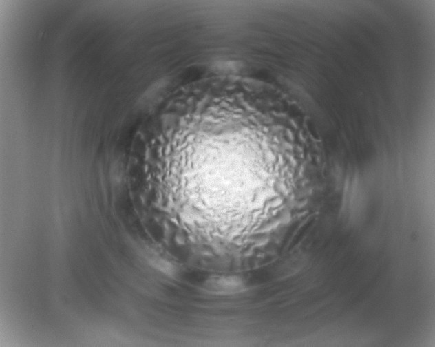 X0000082140665200701262244