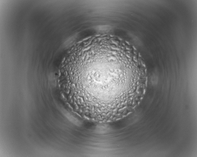 X0000082140666200701262244