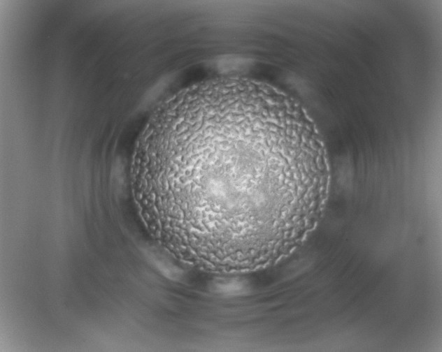 X0000082140667200701262244