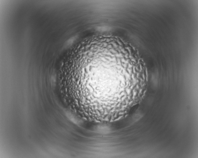X0000082140668200701262244