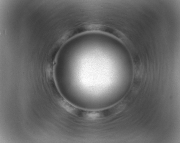X0000082140669200701262244