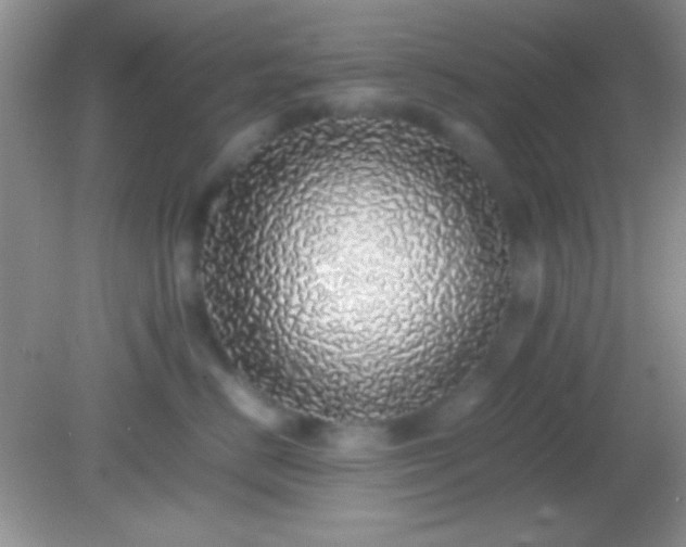 X0000082140670200701262244