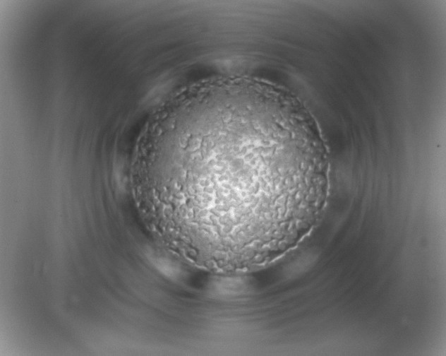 X0000082140671200701262244