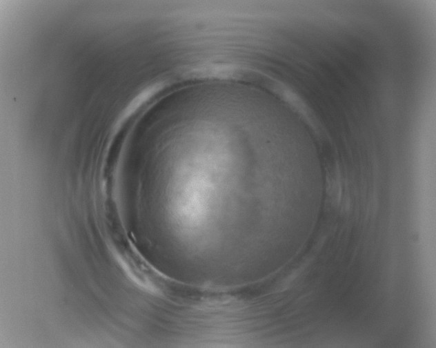 X0000082140674200701262243