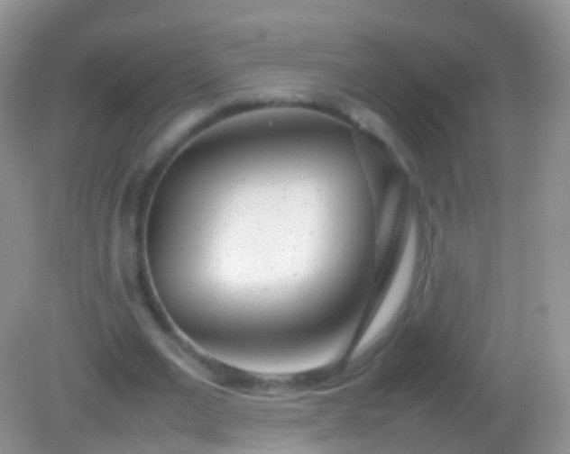 X0000082140677200701262243
