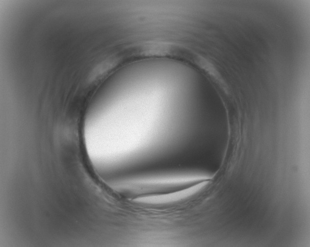 X0000082140681200701262243