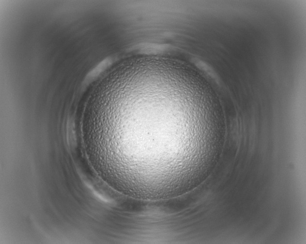 X0000082140682200701262243