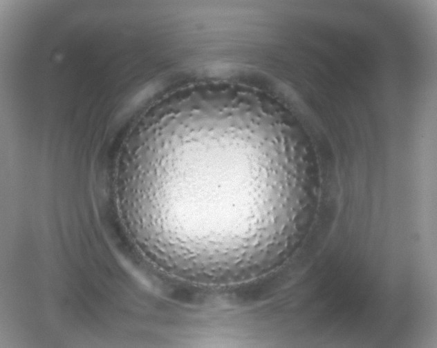 X0000082140683200701262243