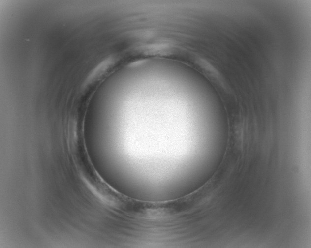 X0000082140686200701262243