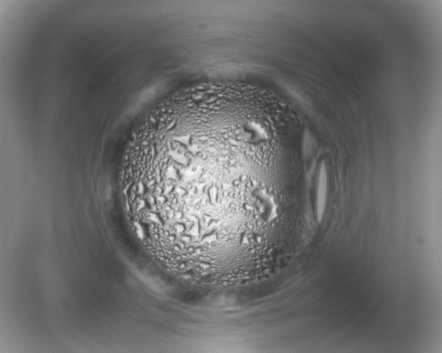 X0000082140687200701262243