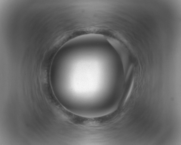 X0000082140689200701262243