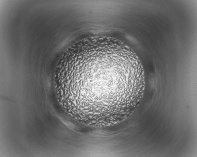 X0000082140691200701262243