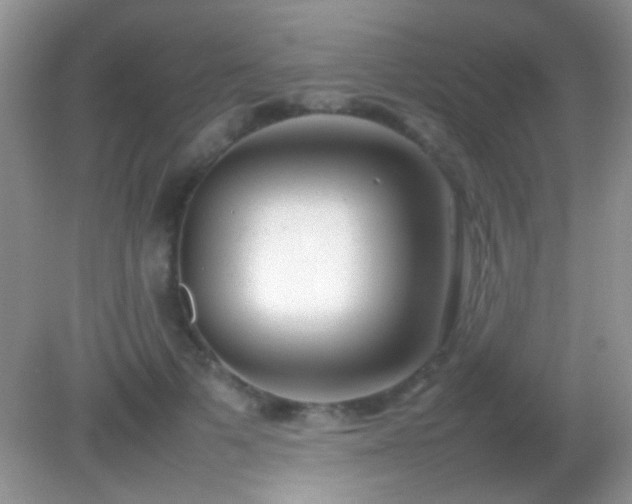 X0000082140697200701262243