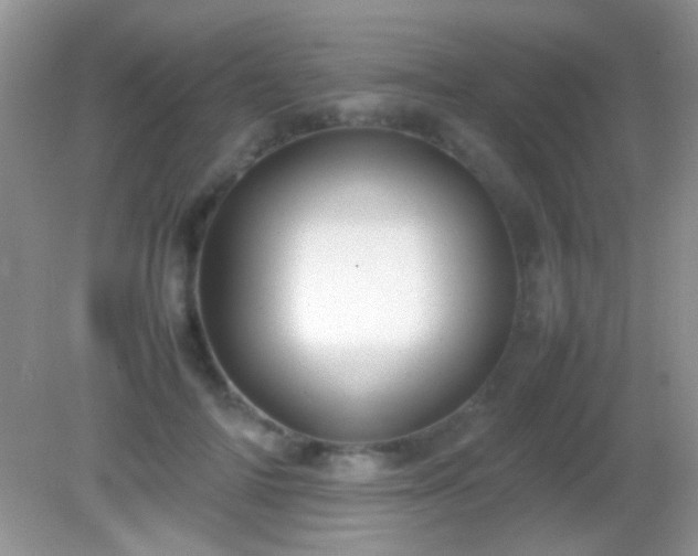 X0000082140698200701262243