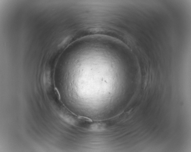 X0000082140700200701262243