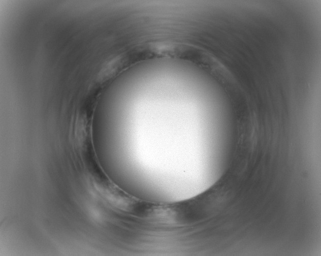 X0000082140702200701262243