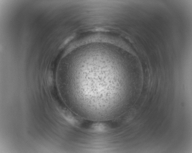 X0000082140704200701262243