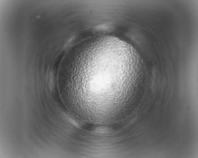 X0000082140708200701262243
