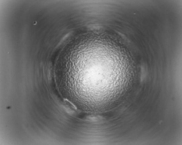 X0000082140712200701262242