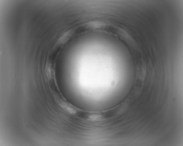 X0000082140718200701262242