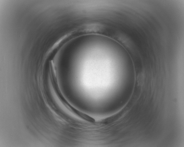 X0000082140722200701262242