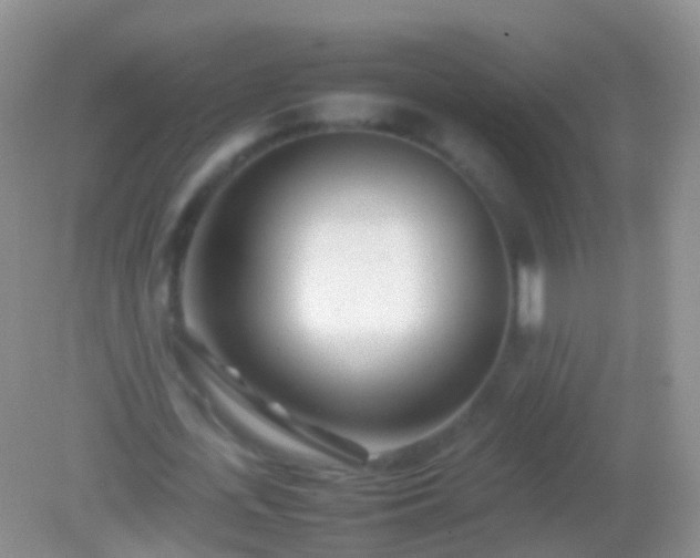 X0000082140723200701262242