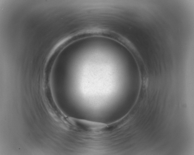 X0000082140724200701262242