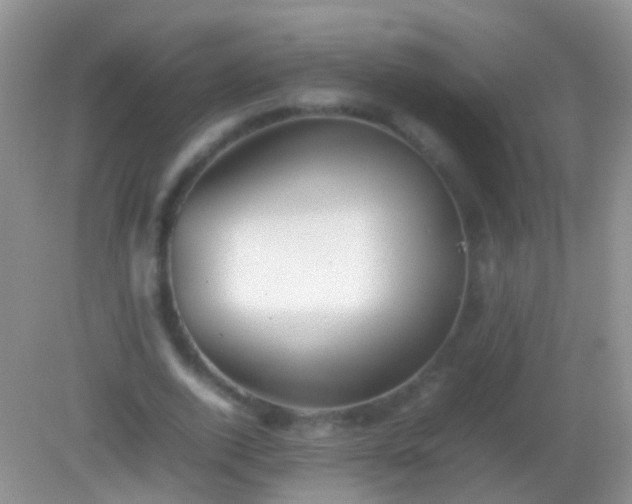 X0000082140728200701262242