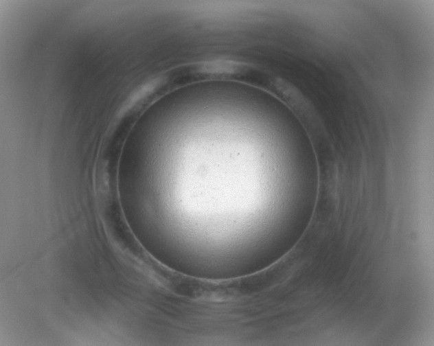X0000082140731200701262242
