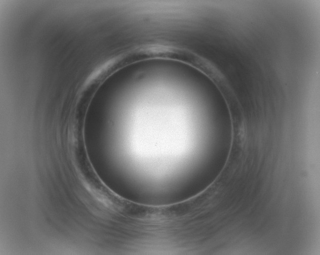 X0000082140732200701262242