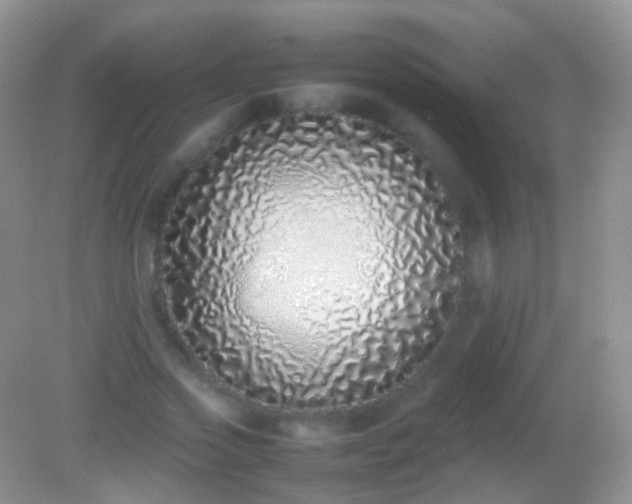 X0000082140733200701262242