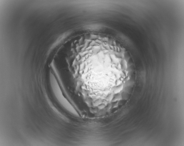X0000082140734200701262242