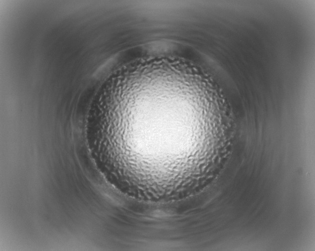 X0000082140737200701262242
