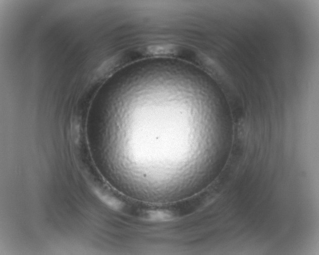 X0000082140741200701262242