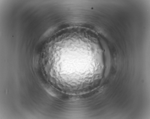 X0000082140742200701262242