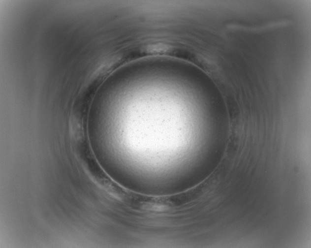 X0000082140743200701262242