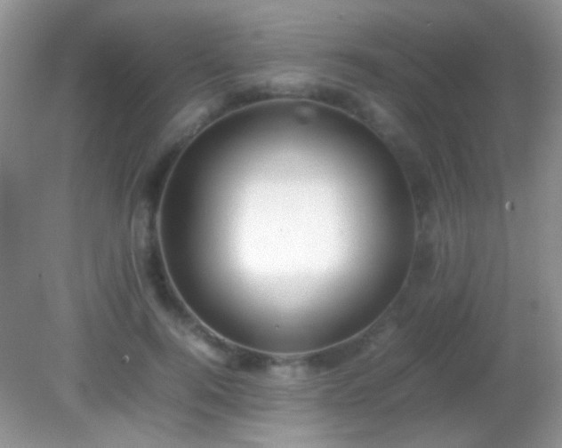 X0000082140744200701262242