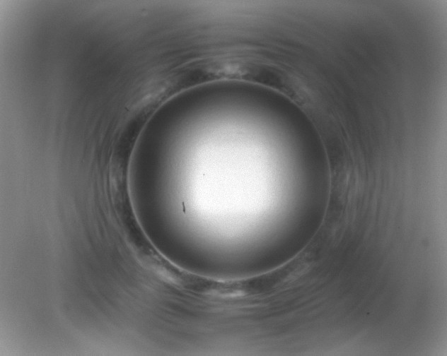 X0000082140747200701262242
